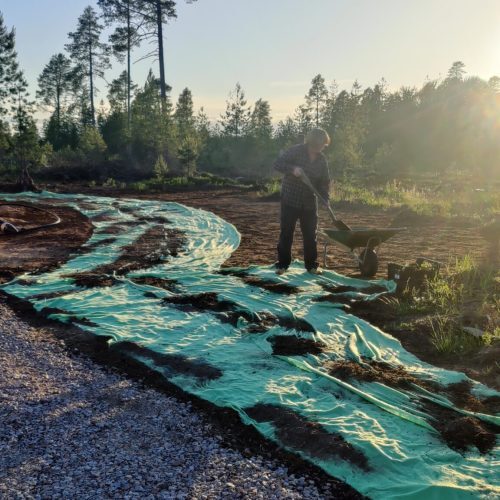 Perennial_Soil_Preparation_Process_Forrest.jpg