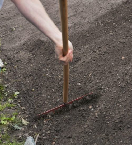 Savvalas_Ziedu_Paklajs_Ierikosana_01.jpeg