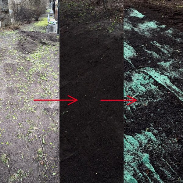 Zāliena sēklu paklāja Turbo Repair ieklāšana. 13.aprīlis