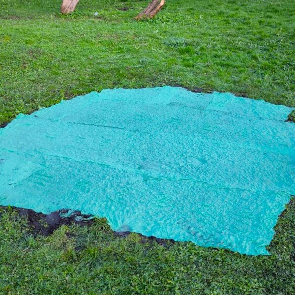 Zāliena atjaunošana ugunskura vietā. 23.aprīlis