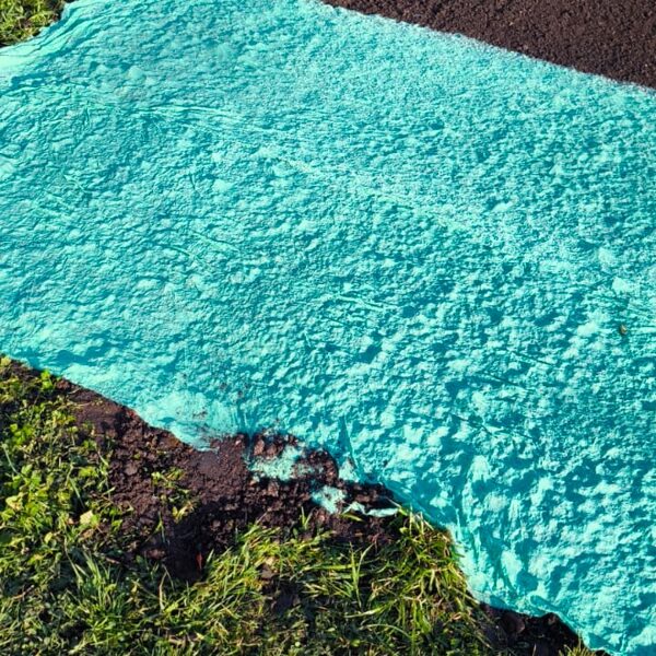 Zāliena atjaunošana ugunskura vietā. 23.aprīlis