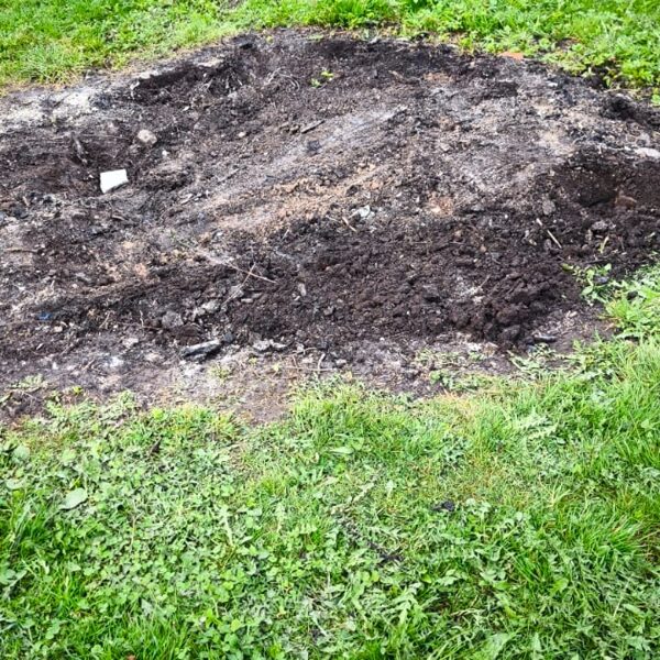 Zāliens Turbo Repair Talsos