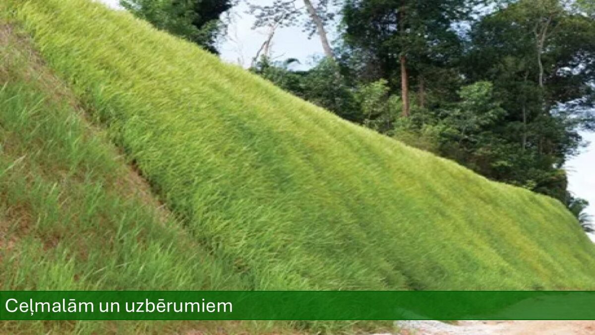 Celmalas_un_uzberumi.jpg