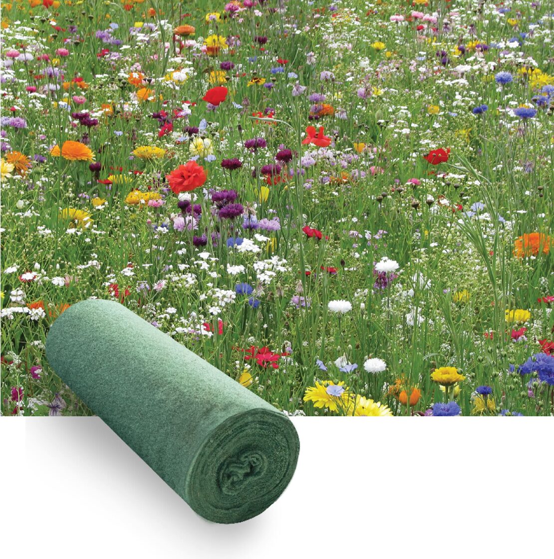 Medium_Grow_Wildflowers.jpg
