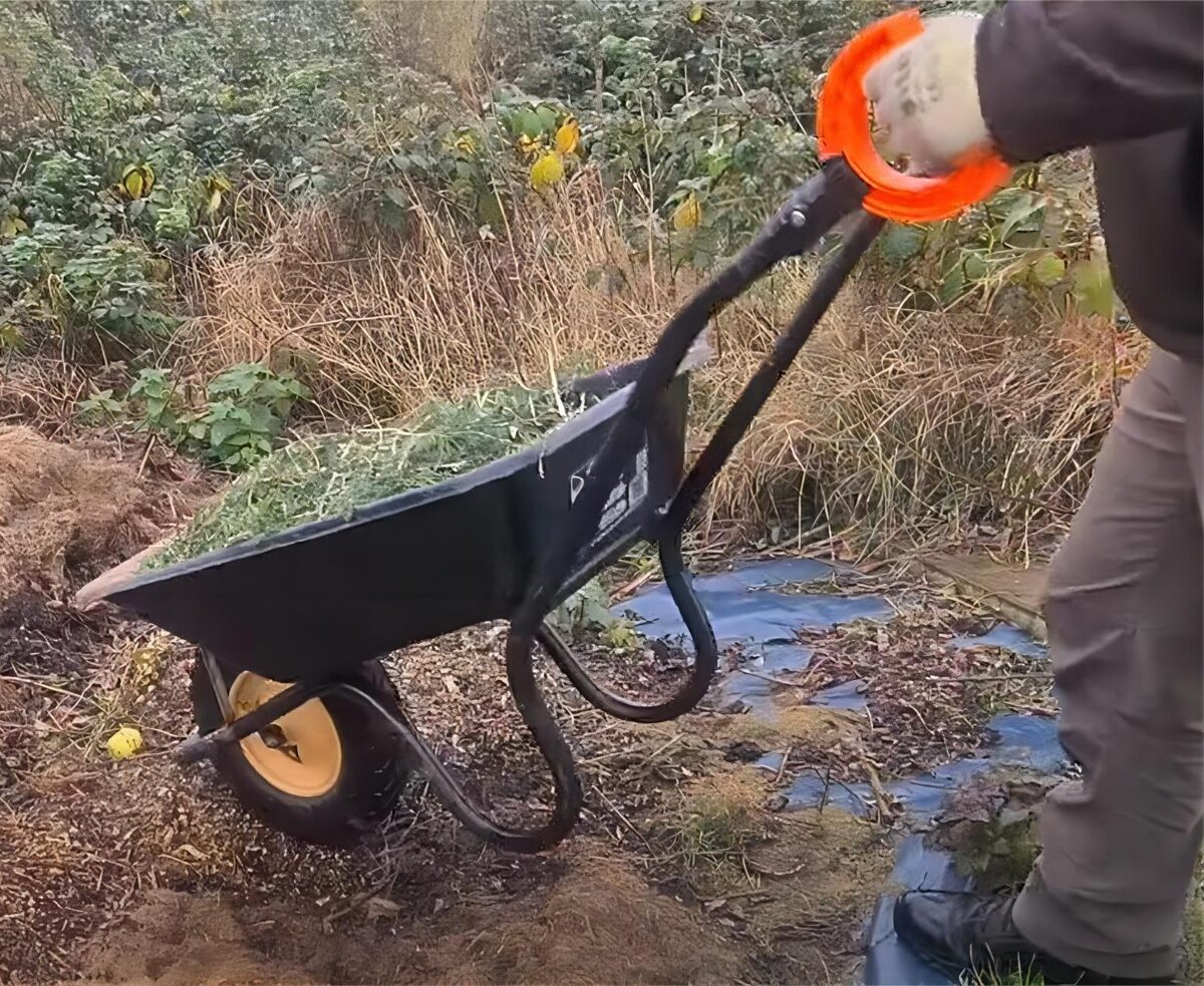 kilted_gardener_youtube_tests8-1.jpg