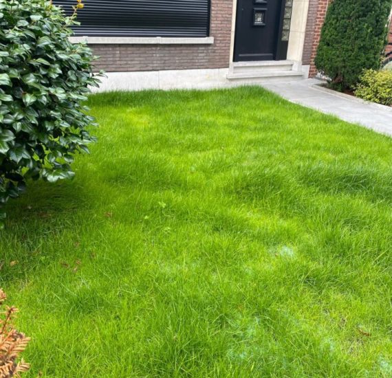 mowing-1.jpeg